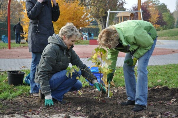 Arbeitseinsatz auf dem Spielplatz am Europaring, für den der SPD-Ortsverein Stadtfeld die Patenschaft übernommen hat (05.11.2011)
