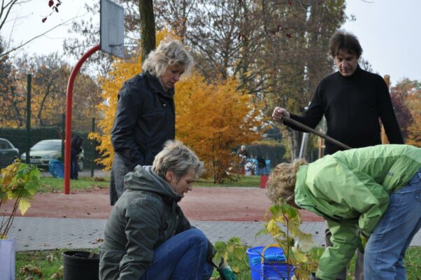 Arbeitseinsatz auf dem Spielplatz am Europaring, für den der SPD-Ortsverein Stadtfeld die Patenschaft übernommen hat (05.11.2011)