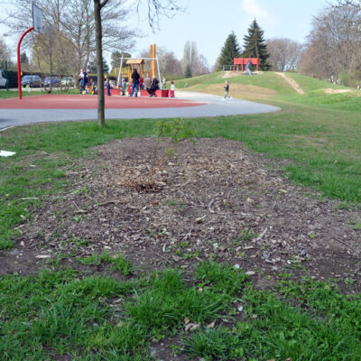 Frühjahrsputz der SPD Stadtfeld am 14.04.2012 auf dem Patenspielplatz am Europaring