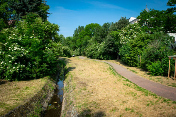 Stadtfelder Goetheanlage